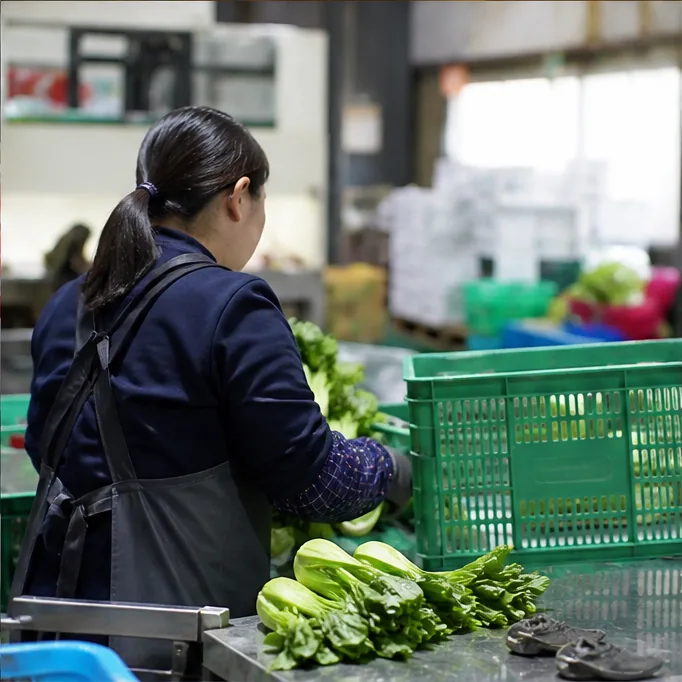 A worker trimming vegetables and packing them into boxes